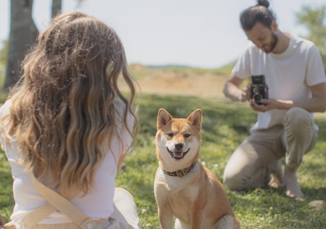 Raw vs Cooked: Which Type of Dog Food is Best for Your Pet?