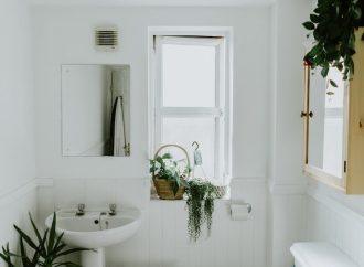 How Plants in Your Bathroom Can Improve Your Mood and Reduce Stress