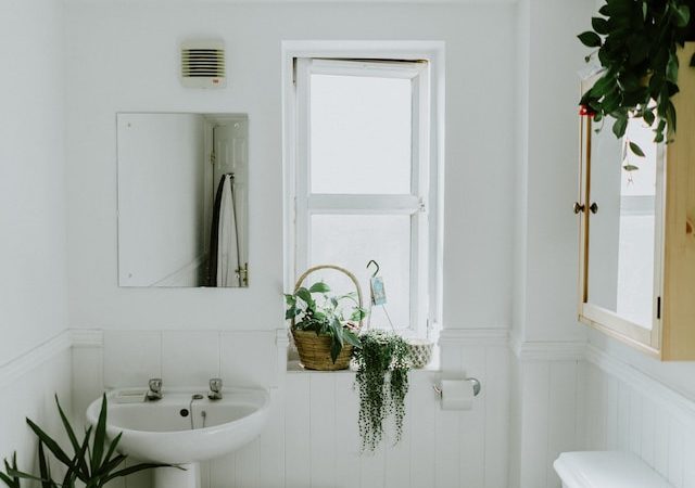 How Plants in Your Bathroom Can Improve Your Mood and Reduce Stress