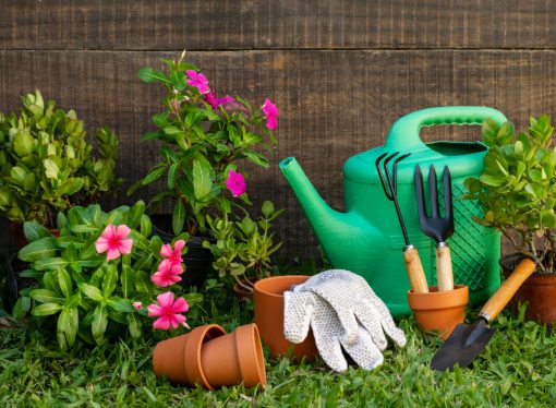 Mastering the Basics: An Introduction to Garden Design 101