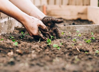 Growing Hope in Desolate Areas: The Impact of Planting on Mental Health and Well-Being