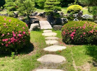 Transforming Concrete Jungles: How Green Spaces Are Reviving Neglected Cities