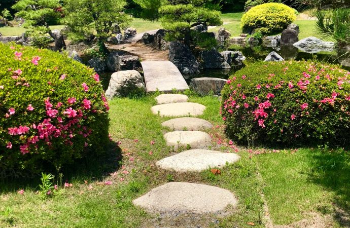 Transforming Concrete Jungles: How Green Spaces Are Reviving Neglected Cities