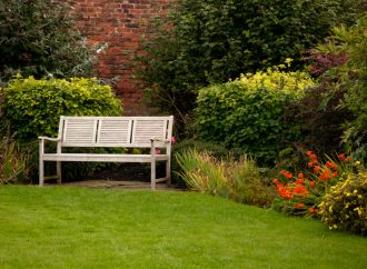 The Therapeutic Power of Nature: How Gardening Can Help You Manage Stress and Anxiety