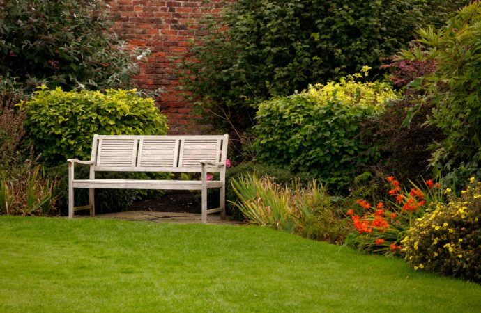 The Therapeutic Power of Nature: How Gardening Can Help You Manage Stress and Anxiety