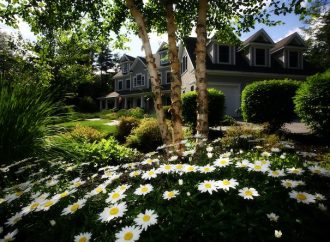 10 Simple Sustainable Gardening Tips for First-Time Gardeners