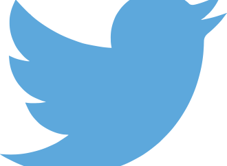 Changes in Leadership: Twitter’s Top Content Policy Executive, Ella Irwin, Resigns