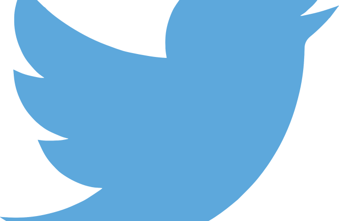 Changes in Leadership: Twitter’s Top Content Policy Executive, Ella Irwin, Resigns