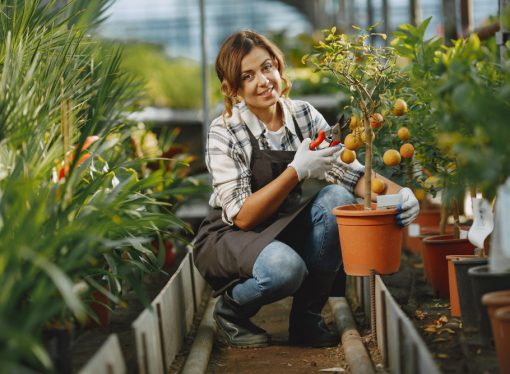 The Joy of Harvesting Fresh Produce from Your Own Home Garden