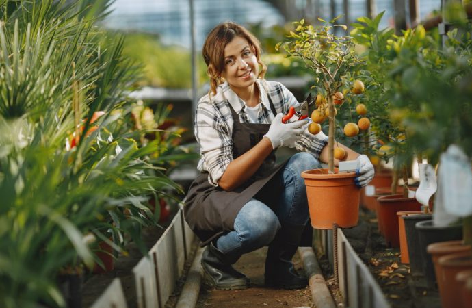 The Joy of Harvesting Fresh Produce from Your Own Home Garden