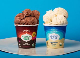 Unleashing the Flavors of Vegan Ice Cream: Frozen Bliss