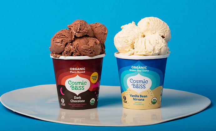 Unleashing the Flavors of Vegan Ice Cream: Frozen Bliss