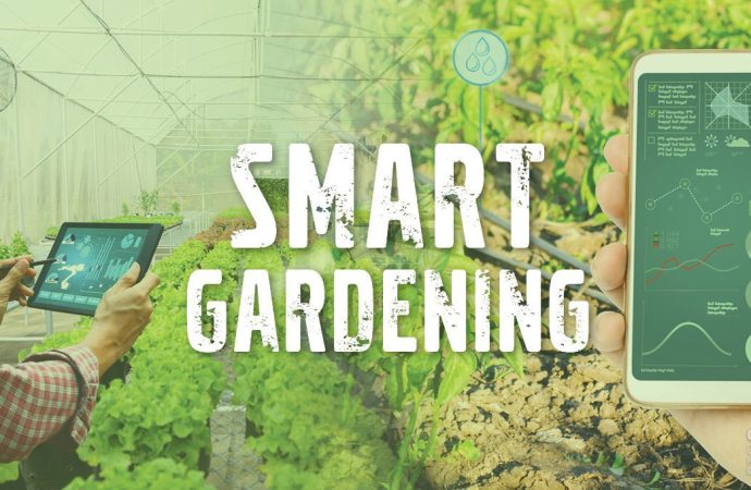 How to Integrate Smart Technology in Gardens