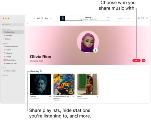  Troubleshooting music playback on Mac