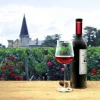 French Wine: Exploring a Fresh Perspective | Vineyards and More