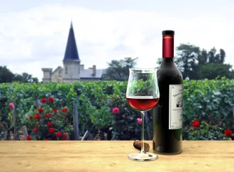 French Wine: Exploring a Fresh Perspective | Vineyards and More