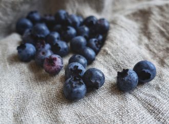 Unlocking the Potential: How Blueberries Enhance Memory | Study Findings