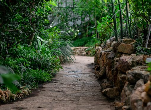 Starting Your Own Wildlife-Friendly Garden from Scratch