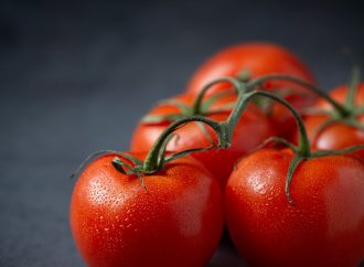 Tomato Industry Advancement: High Disease-Resistant Varieties Coming Soon