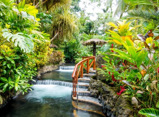 Unleash the Beauty of a Water-Wise Landscape