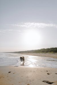 Beach Therapy