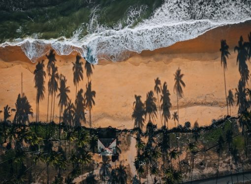 Adapting to Unseen Enemy: Europe’s Struggle Against Heatwaves