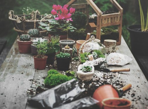 Farm to Table: the Benefits of Growing Your Own Organic Food