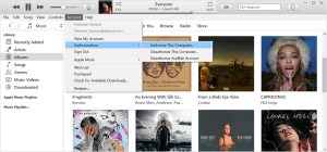  Troubleshooting music playback on Mac