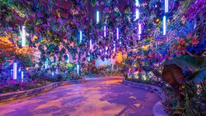 Flower Show