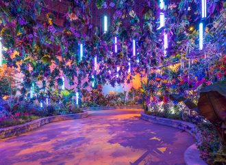 Exploring Philadelphia Flower Show’s Display Gardens