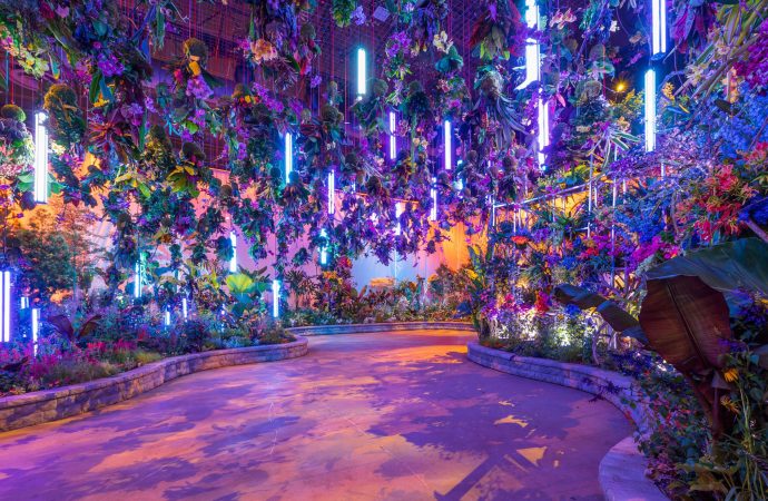 Exploring Philadelphia Flower Show’s Display Gardens