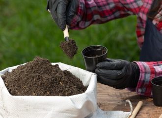 Mastering Organic Fertilizers: Best Usage for Thriving Gardens