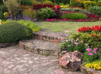 Green Beginnings: First-Time Yard Garden in 10 Simple Steps