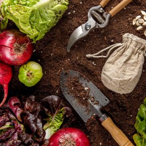 Vegetable Gardening