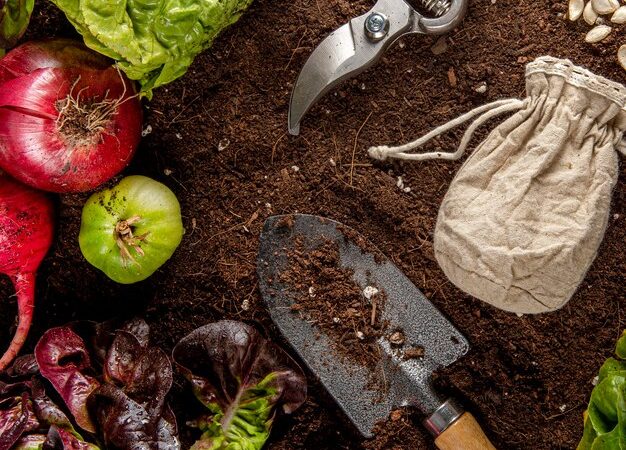 Beginner’s Guide to Vegetable Gardening: Tips for Green Thumbs