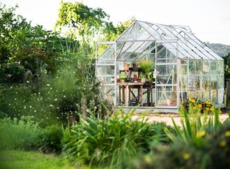 5 Versatile Vegetable Garden Layouts for Any Backyard