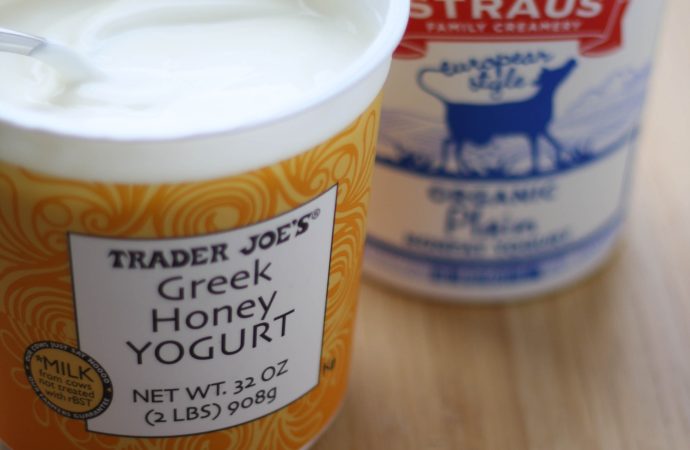 Decoding Greek Yogurt vs. Regular Yogurt: Health and Taste