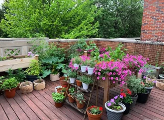 Potted Paradise: Eliot Coleman’s Guide to Crafting Your Garden Oasis with Container Plants
