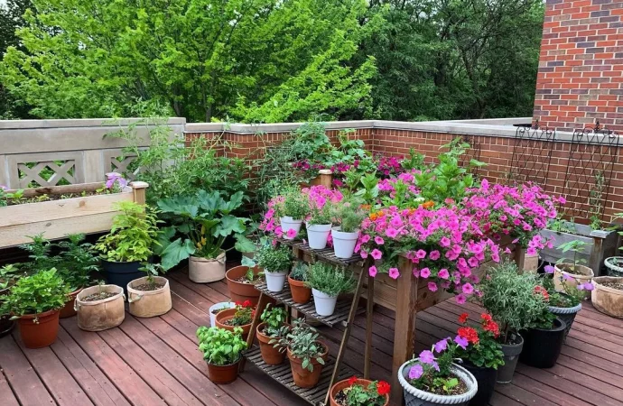 Potted Paradise: Eliot Coleman’s Guide to Crafting Your Garden Oasis with Container Plants