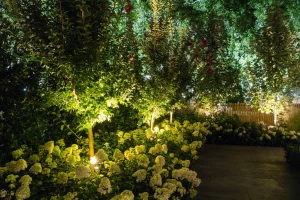 Moon Gardens