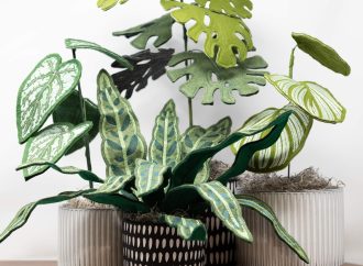 Protecting Curious Toddlers: Childproofing Houseplants Guide