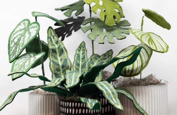 Protecting Curious Toddlers: Childproofing Houseplants Guide