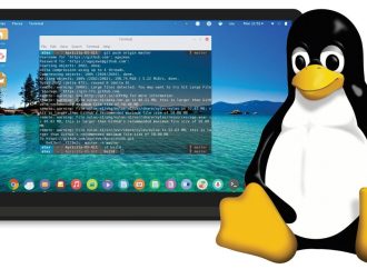 Top Spelling and Grammar Checkers for Linux