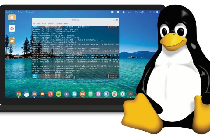 Top Spelling and Grammar Checkers for Linux