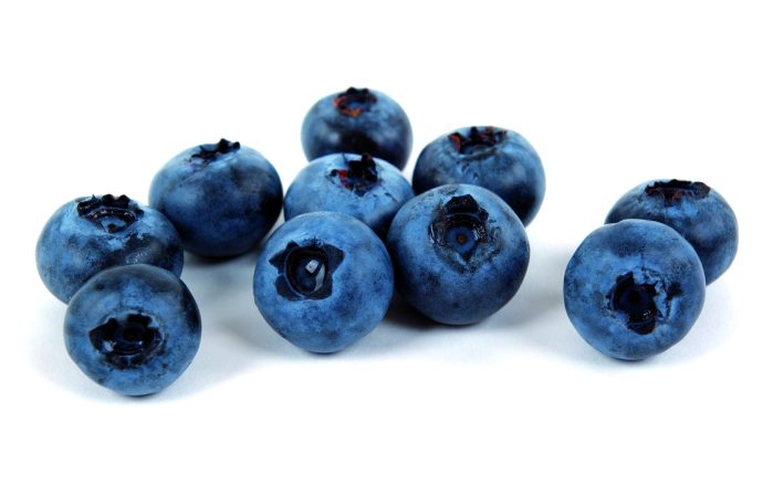 The Power of Blueberries’ Antioxidants: Boost Your Health