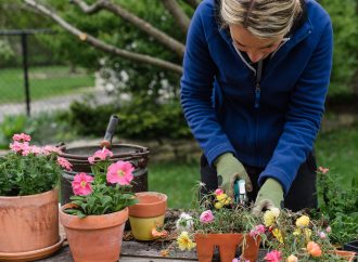 Master Container Planting: Expert Tips for Stunning Gardens