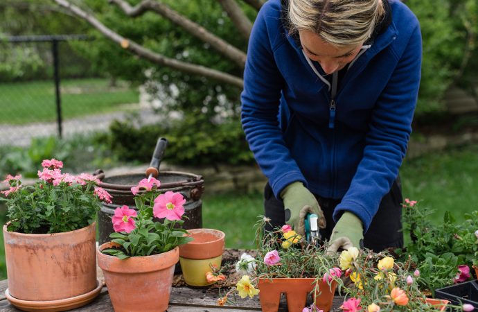 Master Container Planting: Expert Tips for Stunning Gardens