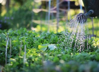 Master Smart Watering: Cut Costs, Conserve Gallons, Nurture Plants