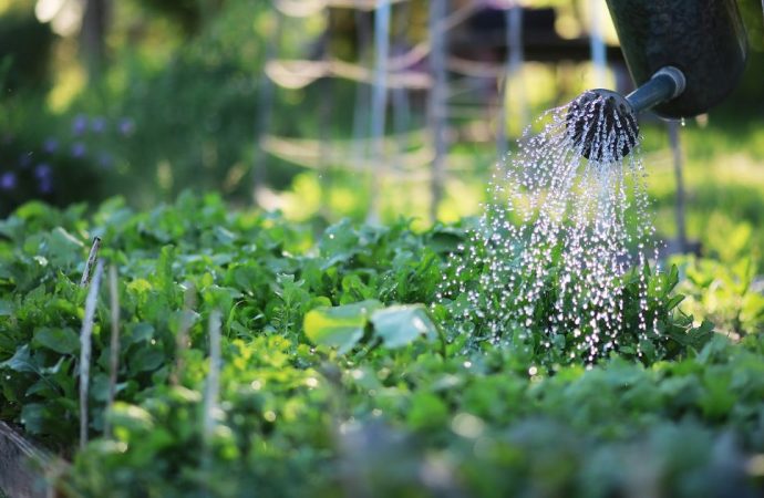 Master Smart Watering: Cut Costs, Conserve Gallons, Nurture Plants