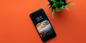 Screen Protector